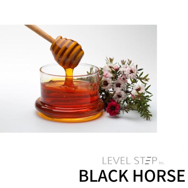 ＢＬＡＣＫＨＯＲＳＥ 　ペースト　300g