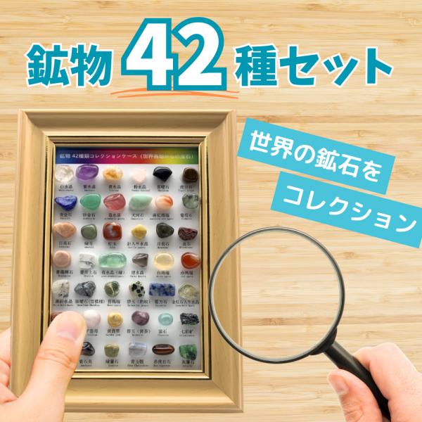 鉱石 鉱物 宝石 岩石 標本 42種セット 天然石 原石 図鑑 コレクション 子ども プレゼント ギ...