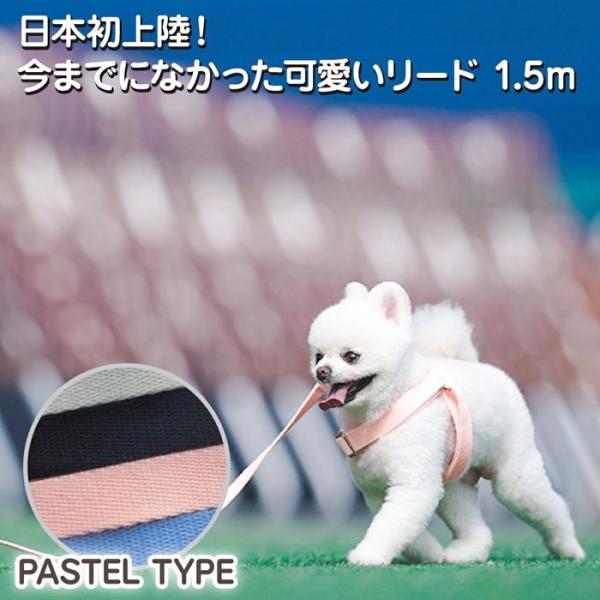 犬 小型犬 中型犬 大型犬 犬用 ハーネス 犬具 胴輪 散歩 お出かけ 簡単装着  パステル  ベー...
