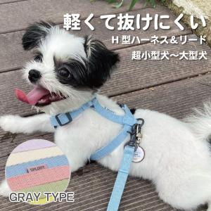 犬 リード ハーネス セット リード付きハーネス 超小型犬 小型犬 リードセット 引っ張り防止 抜けない かわいい /SPLOOT H型ハーネス＆1.5mリード グレー｜EFGショップYahoo!店