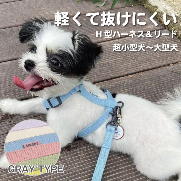 犬 リード ハーネス セット リード付きハーネス 超小型犬 小型犬 リードセット 引っ張り防止 抜け...