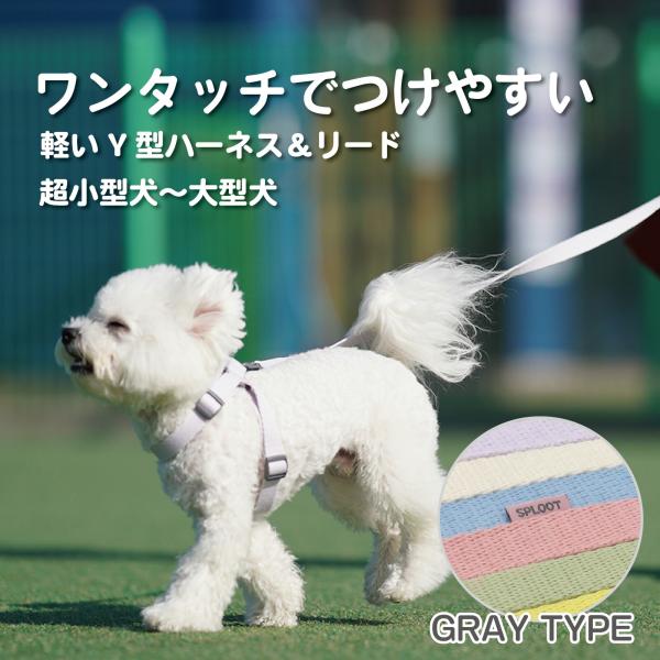 犬 リード ハーネス セット リード付きハーネス 着脱簡単 ワンタッチ 抜けにくい 負担が少ない 洗...