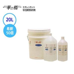 パレス化学 切花鮮度保持剤 華の精 エチレンカット 20L パレス化 代引不可｜efiluz