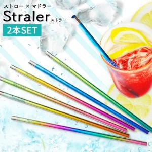 ホリエ チタン製ストロー ストラー 2本セット 全6色 H
