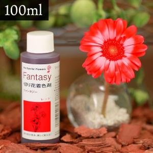 パレス化学 切花着色剤ファンタジー 100ml レッド パレス化 Zの商品画像