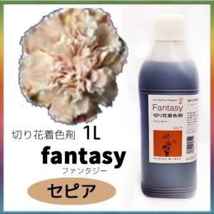 パレス化学 切花着色剤ファンタジー 1Ｌ セピア パレス化 Zの商品画像