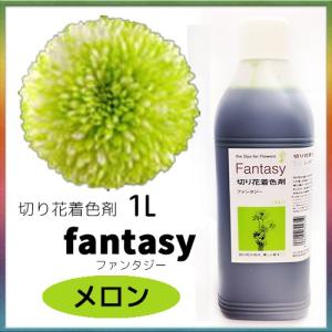 パレス化学 切花着色剤ファンタジー 1Ｌ メロン パレス化 Z｜efiluz