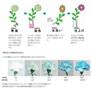 パレス化学 切花着色剤ファンタジー 100ml...の詳細画像2
