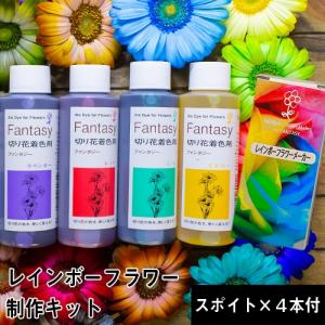 フラワーアレンジメント用着色剤セット パレス化学 切花着色剤ファンタジー 自由研究セット レインボー