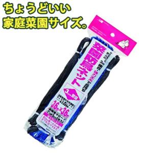 菜園防鳥ネット 3.6m×3.6m ブルー 家庭菜園サイズ3cm菱目 ロープ入 防蝶 防鳥網 防鳥ネット 鳥害 対策 防止 鳥よけ 庭 ガーデニング 家庭菜園 園芸 金TD｜efiluz