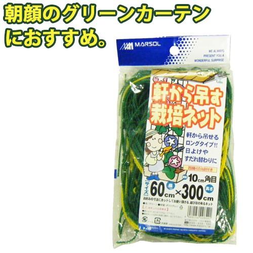 つるもの誘引 軒から吊す栽培ネット 幅60cm×300cm 10cm角目 グリーン ロープ付 ガーデ...