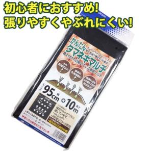 初心者におすすめ かんたんタマネギマルチ 幅95cm×長さ10m 4列穴あき 黒 農業 家庭菜園 農作業 畑 園芸 野菜 栽培 植え付け 雑草防止 防草 ガーデニング 植物｜efiluz