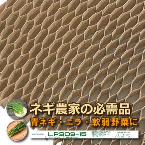 LPチェーンポット LP303-15 75冊（個）株間15cm 264鉢 紙筒 ペーパーポット 播種 種まき 育苗 青ネギ ニラ 軟弱野菜 lp303-15 ニッテン 農作業 プラスワイズK｜efiluz