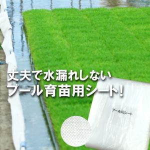 プール育苗シート 遮水シート 厚さ0.25mm×幅300cm×長さ20m プール育苗 プールシート 厚手 遮水 プール プール育苗用 シート 水稲 苗 農業 農作業 プラスワイズ｜efiluz