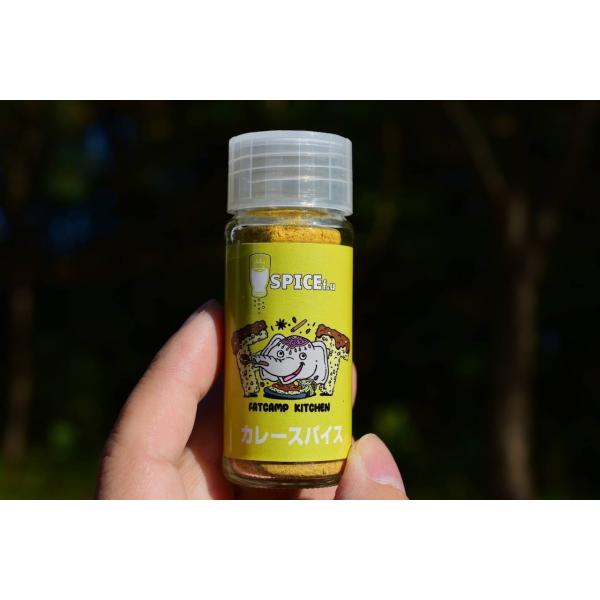 FATCAMP　ふりかけカレースパイス