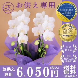 胡蝶蘭 お悔み お供え 専用 お盆 初盆 新盆 スーパーアマビリス 2本立 パープルラッピング 喪中はがき ご仏前 霊前