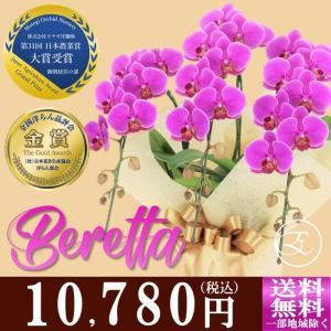 カラー 花 値段の商品一覧 通販 Yahoo ショッピング