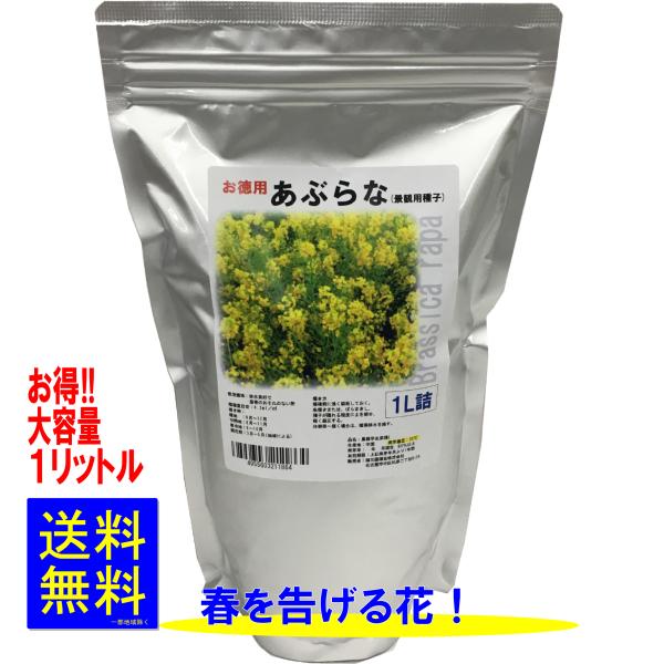 あぶらな種子　1L詰　福花園種苗
