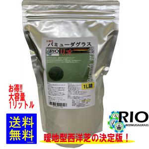 福花園種苗 西洋芝種子 バミューダグラス 種子1L詰 皮取種(普通種