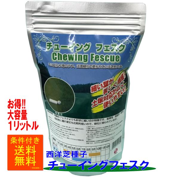 西洋芝種子 チューイングフェスク 1L詰 福花園種苗