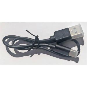 DIESEL TWS サポート販売用充電ケーブル(TYPE-C)