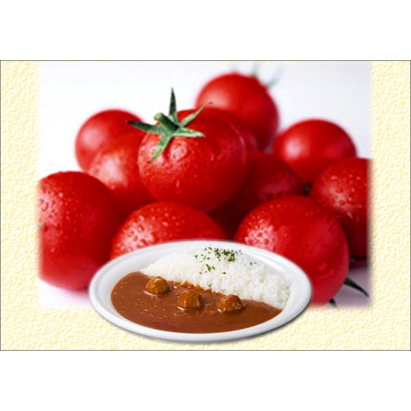 C 川俣シャモ 福島 ご当地ごはん トマトカレー 炊き込み ピラフ ポトフ 鶏肉 軍鶏 たんぱく質 ...