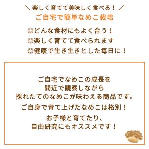 【4個セット】なめこ栽培キット×4本 福島県産...の詳細画像1
