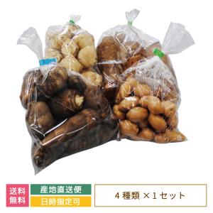 【送料無料】健康お野菜4種セット (ヤーコン・キクイモ・アピオス・里いも) *｜egao-ichiba