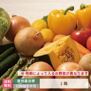 【10種以上保証】夏のお野菜詰め合わせ あだたらの里直売所 *｜egao-ichiba