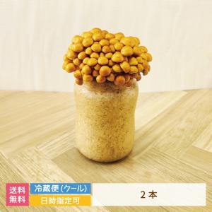 なめこ栽培キット×2　福島県産　家庭栽培・自由研究*