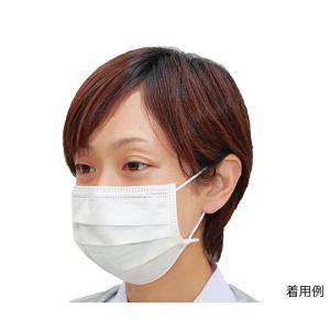 クラレ キーメイトマスク フィルター入り簡易防臭マスク 20枚入 PD-200