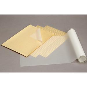 アキレスウイルセーフ A4サイズ 5枚入