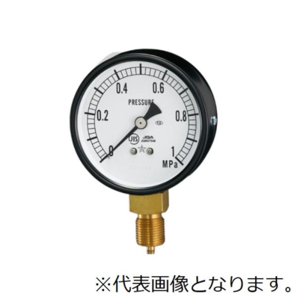 右下精器 一般圧力計 (蒸気用) AMT3/8-75X0.6MPA