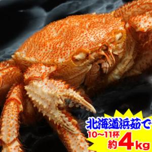 かに カニ 蟹 毛蟹 毛蟹 け蟹 ケガニ | 北海道浜茹で毛蟹姿 約4kg(10〜11杯)【送料無料】｜egaotakumi