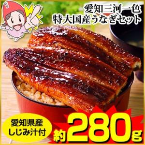 愛知三河一色 特大国産うなぎセット(愛知県産しじみ汁付き)...