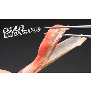 かに カニ 蟹 ズワイガニ ボイル | 大型4...の詳細画像3