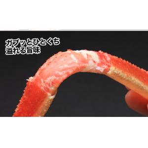 かに カニ 蟹 ズワイガニ ボイル | 大型4...の詳細画像4