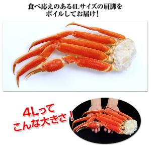 かに カニ 蟹 ズワイガニ ボイル | 大型4...の詳細画像5