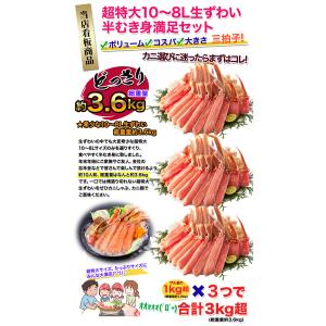 かに カニ 蟹 ズワイガニ 半むき身|超特大1...の詳細画像1