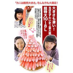 かに カニ 蟹 ズワイガニ 半むき身|超特大1...の詳細画像3