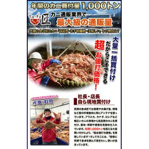 かに カニ 蟹 ズワイガニ 半むき身|超特大1...の詳細画像4