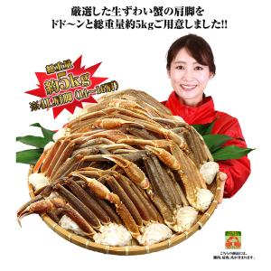 かに カニ 蟹 ズワイガニ | 大型4L生ずわ...の詳細画像5