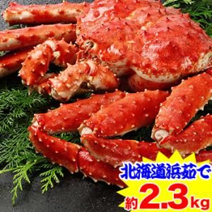 かに カニ 蟹 タラバ蟹 たらば蟹 たらば蟹 タラバガニ | 超特大！！北海道紋別浜茹で たらばがに...