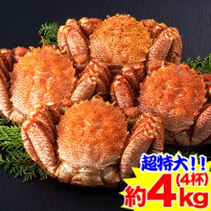 かに カニ 蟹 毛蟹 毛蟹 け蟹 ケガニ | 超特大！！北海道浜茹で毛がに姿 4杯（約4kg）