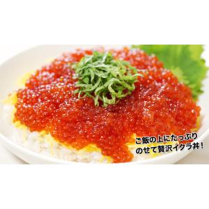 イクラ いくら 紅鮭イクラ 紅鮭いくら 紅鮭 ...の詳細画像2