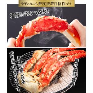 かに カニ 蟹 タラバガニ たらば蟹 | 超特...の詳細画像2