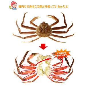 かに カニ 蟹 ズワイガニ ポーション |【刺...の詳細画像5