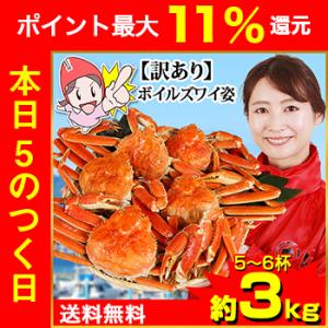 かに カニ 蟹 ズワイガニ ボイル| 【お値打ち・訳あり】ボイルずわい姿5〜6杯（約3kg）