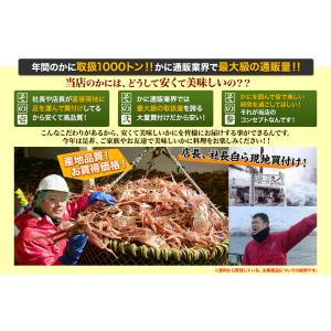 かに カニ 蟹 ズワイガニ ボイル |超特大プ...の詳細画像1