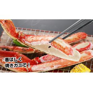 かに カニ 蟹 ズワイガニ ボイル |超特大プ...の詳細画像3